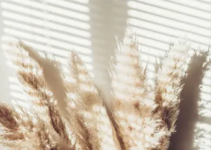 A White Window With A Bunch Of Dried Grasses Wallpaper