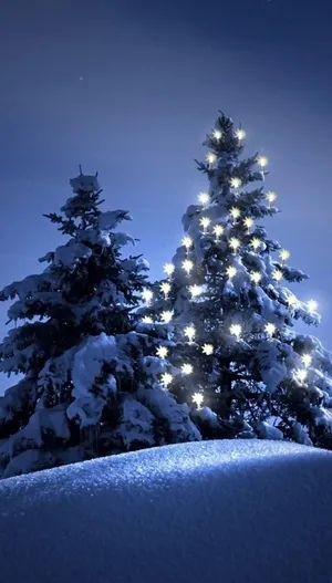 A Winter Wonderland With Snow-covered Trees And Lights. Wallpaper