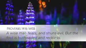 A Wise Man Is Never Reckless Wallpaper