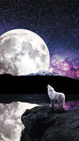 A Wolf Howling At The Supermoon Wallpaper