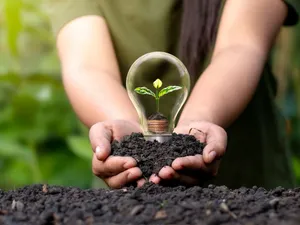 A Woman Holding A Light Bulb With A Plant Inside Wallpaper