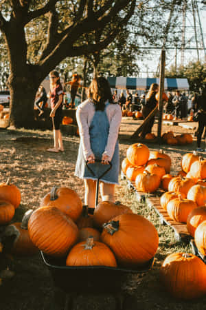 A Woman Pushing A Wheelbarrow Full Of Pumpkins Wallpaper