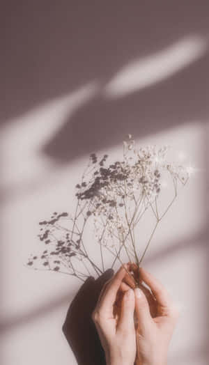 A Woman's Hand Holding A Bunch Of Dried Flowers Wallpaper