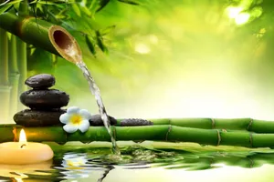 A Woman Standing Atop A Summit With Her Arms Spread Wide Wallpaper