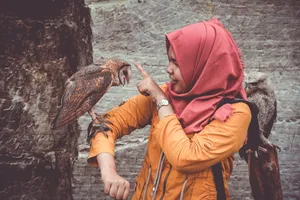 A Woman Wearing A Hijab Touching A Tangible Owl On Her Arm Wallpaper