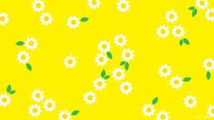 A Yellow Background With White Daisies On It Wallpaper