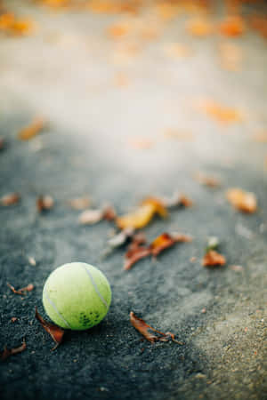 A Yellow Tennis Ball Ready For A Game Of Tennis. Wallpaper