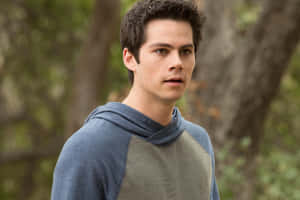 A Young Man In A Gray Hoodie Standing In The Woods Wallpaper