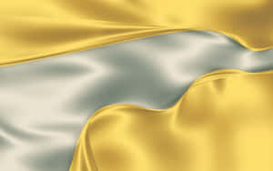 A Young Man Wearing A Jacket In A Park Wallpaper