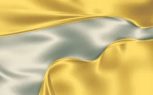 A Young Man Wearing A Jacket In A Park Wallpaper