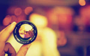 A Young Photographer Taking A Photo Of Nature Wallpaper