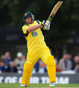Aaron Finch Hard Swing Wallpaper
