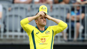 Aaron Finch In Alinta Energy Jersey Wallpaper