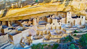 Abandoned Cliff Palace Mesa Verde National Park Wallpaper