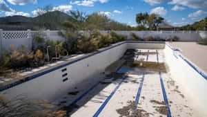 Abandoned Empty Pool Wallpaper