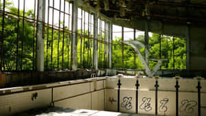 Abandoned Indoor Pool Wallpaper