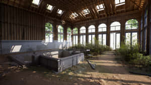 Abandoned Indoor Pool Wallpaper