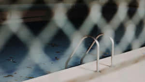 Abandoned Pool Behind Fence Wallpaper