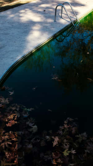 Abandoned Pool With Fallen Leaves Wallpaper