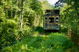 Abandoned Railcarin Woods Wallpaper