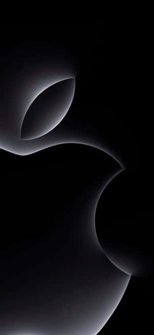 Abstract_ Black_ Curves_ Background Wallpaper