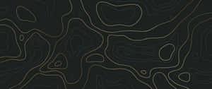 Abstract Black Gold Topographic Design Wallpaper