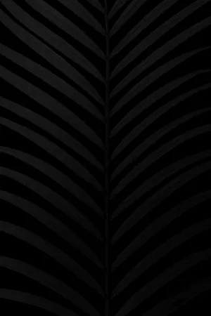 Abstract Black Ribbed Texture Wallpaper