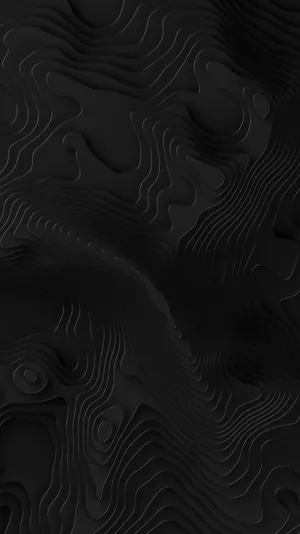 Abstract Black Topographic Design Wallpaper