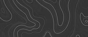 Abstract Black Topographic Design Wallpaper