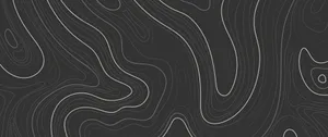 Abstract Black Topographic Design Wallpaper