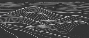 Abstract Black Topographic Lines Wallpaper