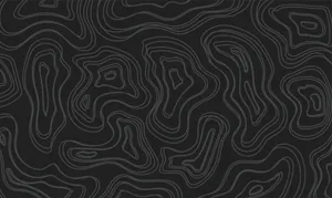 Abstract Black Topographic Lines Wallpaper