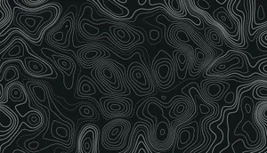Abstract Black Topographic Map Wallpaper