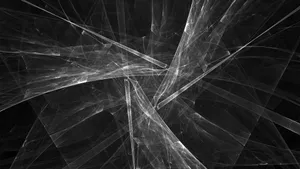 Abstract Black White Light Fibers4 K Wallpaper