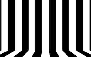 Abstract Black White Stripes Wallpaper