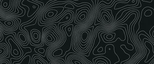 Abstract Blackand White Topographic Lines Wallpaper
