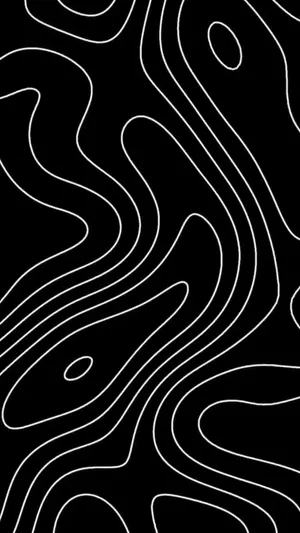 Abstract Blackand White Topographic Lines Wallpaper