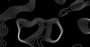 Abstract Blackand White Topographic Lines Wallpaper