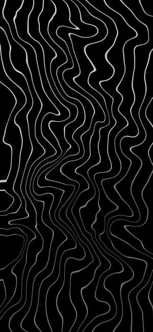 Abstract Blackand White Topography Wallpaper