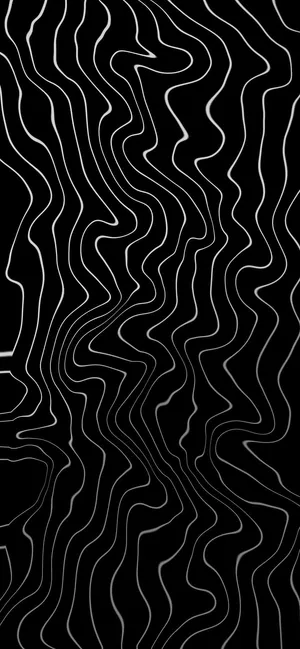 Abstract Blackand White Topography Wallpaper