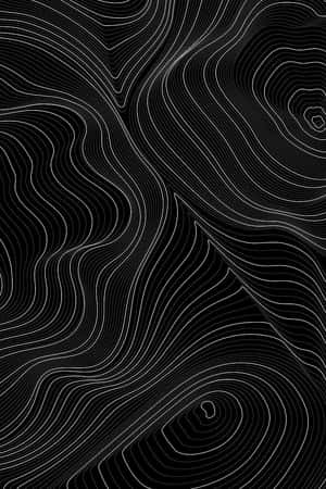 Abstract Blackand White Topography Wallpaper