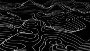 Abstract Blackand White Topography Wallpaper