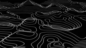 Abstract Blackand White Topography Wallpaper