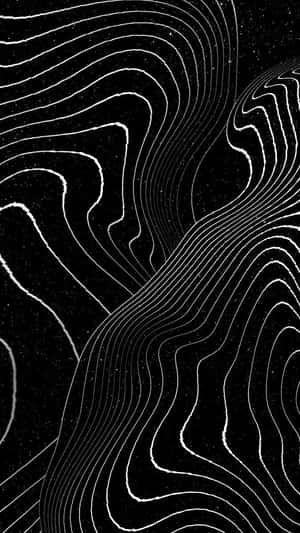 Abstract Blackand White Topography Wallpaper