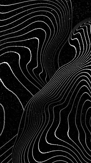 Abstract Blackand White Topography Wallpaper