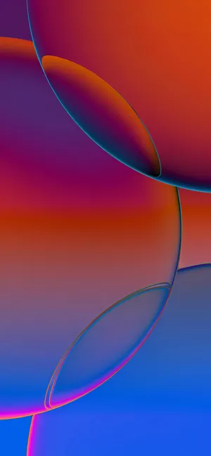 Abstract Colorful Curves Wallpaper Wallpaper