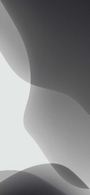 Abstract Gray Waves Wallpaper