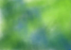 Abstract Green Blur Background Wallpaper