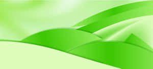 Abstract Green Waves Vector Background Wallpaper