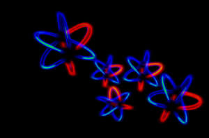 Abstract Neon Floral Display Wallpaper